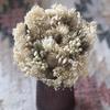 Duo Fleuri (plus que 6 disponibles)